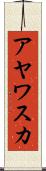 アヤワスカ Scroll