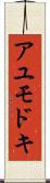 アユモドキ Scroll