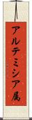 アルテミシア属 Scroll