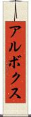 アルボクス Scroll