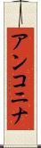 アンコニナ Scroll
