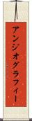 アンジオグラフィー Scroll