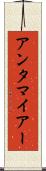 アンタマイアー Scroll