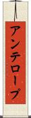 アンテロープ Scroll