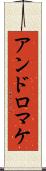 アンドロマケ Scroll