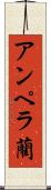 アンペラ藺 Scroll