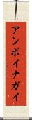 アンボイナガイ Scroll