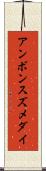 アンボンスズメダイ Scroll