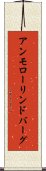 アンモローリンドバーグ Scroll