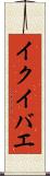 イクイバエ Scroll