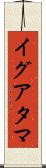 イグアタマ Scroll
