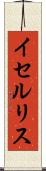 イセルリス Scroll