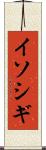 イソシギ Scroll
