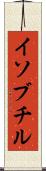 イソブチル Scroll