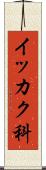 イッカク科 Scroll
