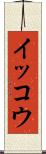 イッコウ Scroll