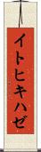 イトヒキハゼ Scroll