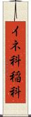 イネ科 Scroll