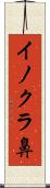 イノクラ鼻 Scroll