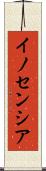イノセンシア Scroll