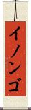 イノンゴ Scroll