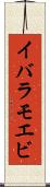 イバラモエビ Scroll