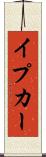 イプカー Scroll