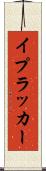 イプラッカー Scroll