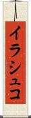 イラシュコ Scroll