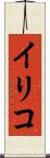 イリコ Scroll