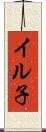 イル子 Scroll