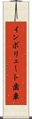 インボリュート歯車 Scroll