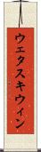 ウェタスキウィン Scroll