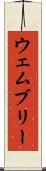 ウェムブリー Scroll