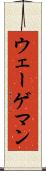 ウェーゲマン Scroll