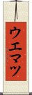 ウエマツ Scroll