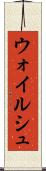 ウォイルシュ Scroll