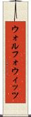 ウォルフォウィッツ Scroll
