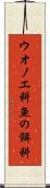 ウオノエ科 Scroll