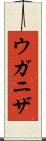 ウガニザ Scroll