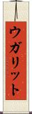 ウガリット Scroll