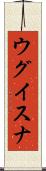 ウグイスナ Scroll