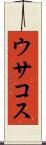 ウサコス Scroll
