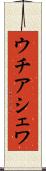 ウチアシェワ Scroll