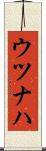 ウツナハ Scroll