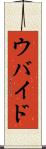 ウバイド Scroll