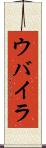 ウバイラ Scroll