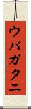 ウバガタニ Scroll