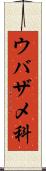 ウバザメ科 Scroll
