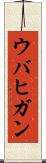 ウバヒガン Scroll